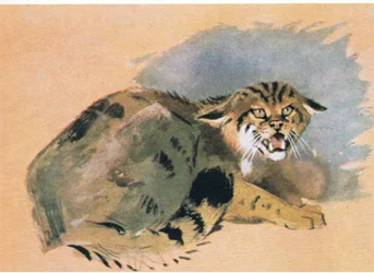 Wildkatze, veröffentlicht von Book Club Associates, 1972